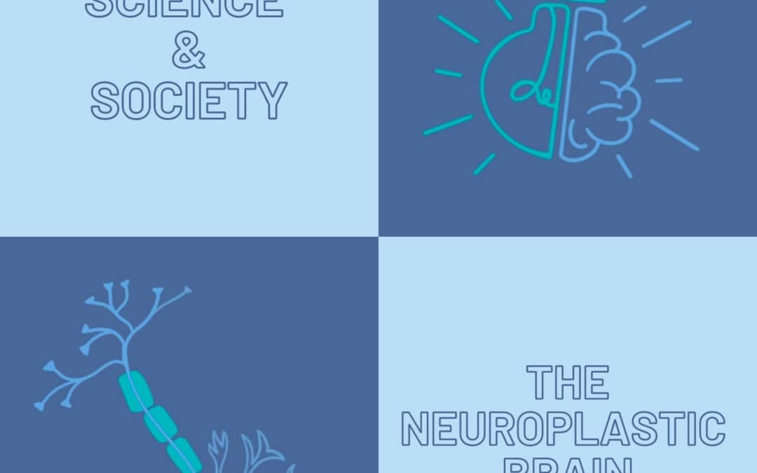 Science & Society: The Neuroplastic Brain
